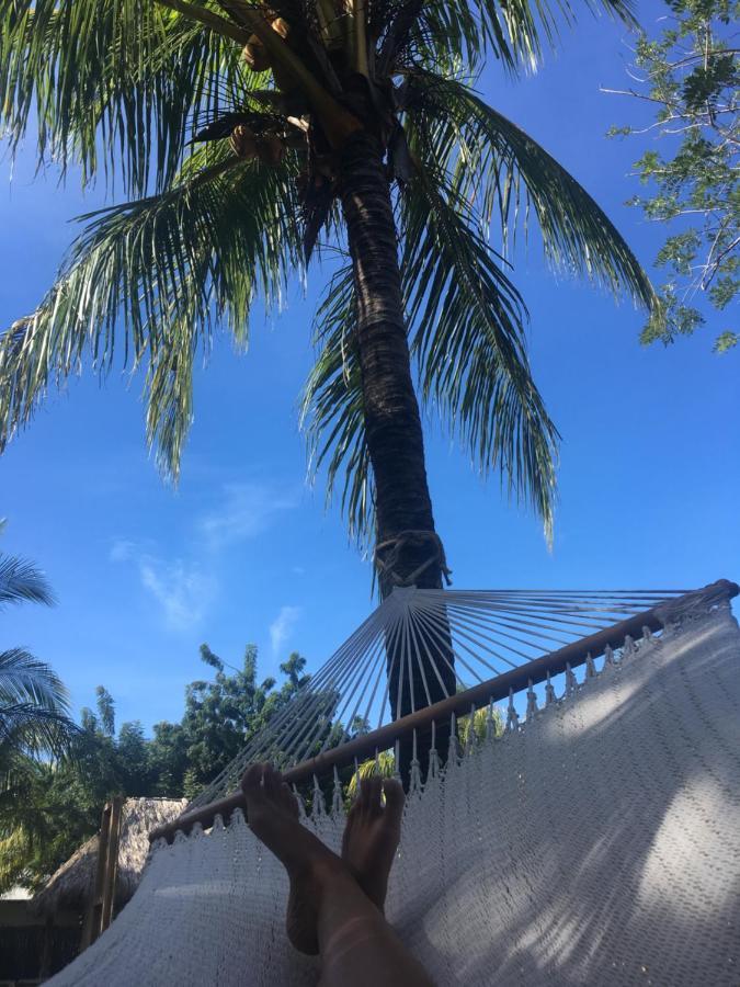 Monoloko Lodge بوبويو المظهر الخارجي الصورة